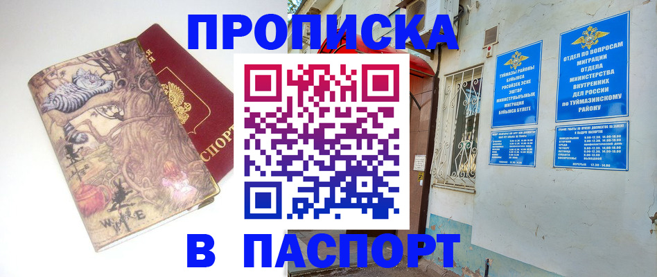 пропишу в квартире в Сольцах